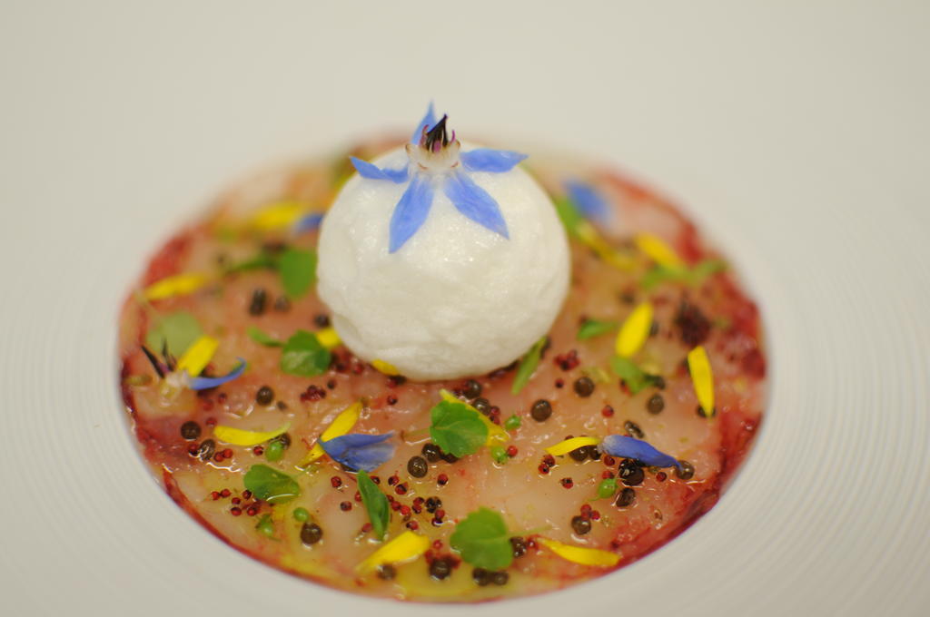 Hotel-Restaurant L'Aquarelle Breuillet  Ngoại thất bức ảnh